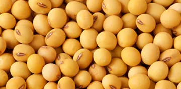 Alimentos que ajudam a aliviar a TPM: soja